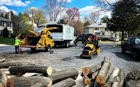 Best Aeration Services  in Alderton, WA