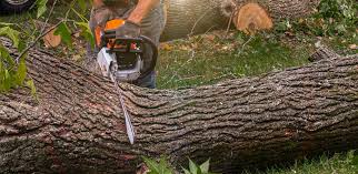 Best Artificial Turf Installation  in Alderton, WA